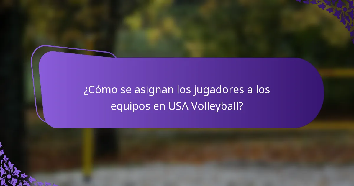 ¿Cómo se asignan los jugadores a los equipos en USA Volleyball?