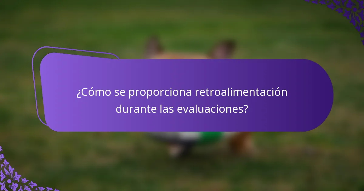 ¿Cómo se proporciona retroalimentación durante las evaluaciones?