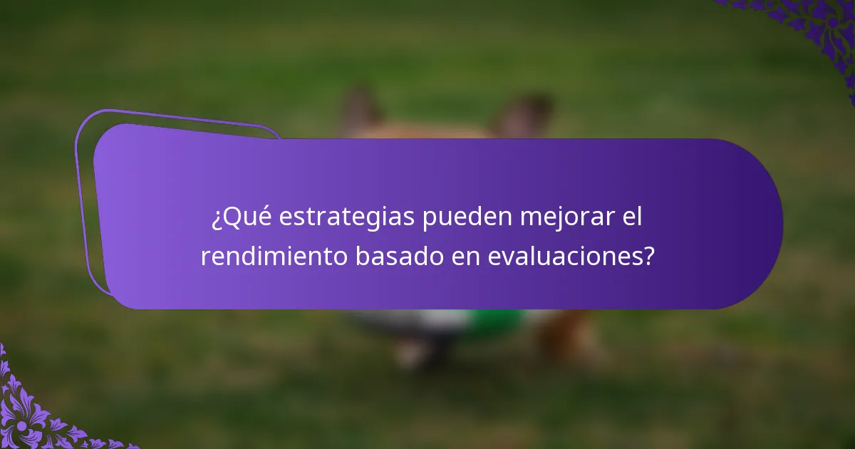 ¿Qué estrategias pueden mejorar el rendimiento basado en evaluaciones?