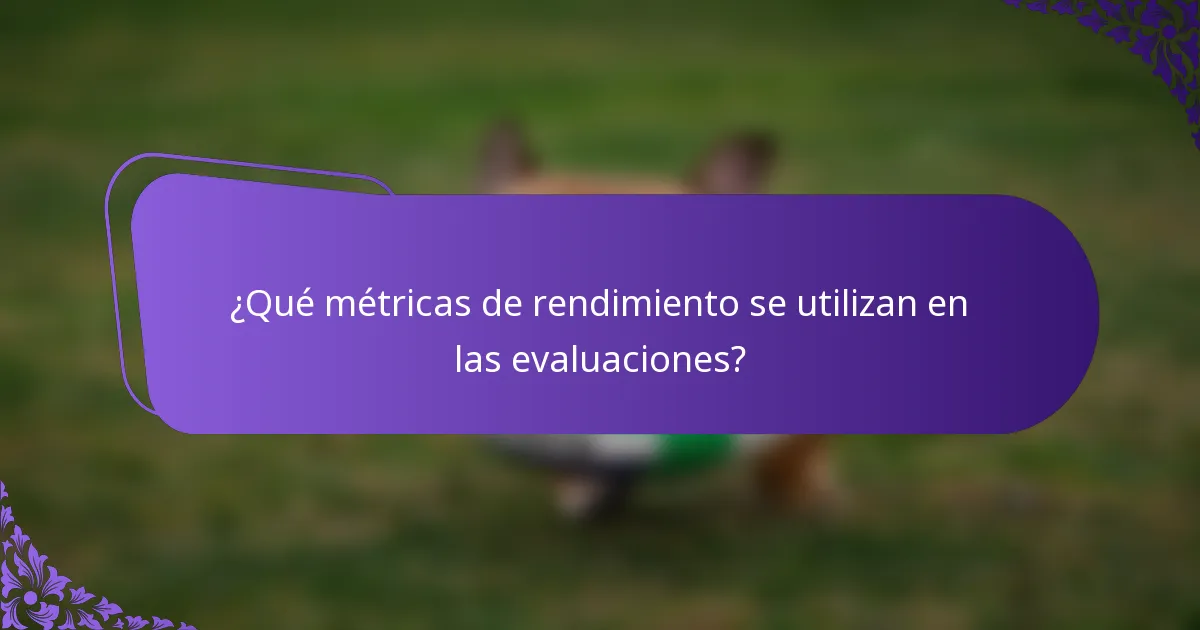¿Qué métricas de rendimiento se utilizan en las evaluaciones?